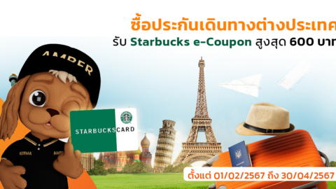 ซื้อประกันเดินทางต่างประเทศ MSIG Travel Easy